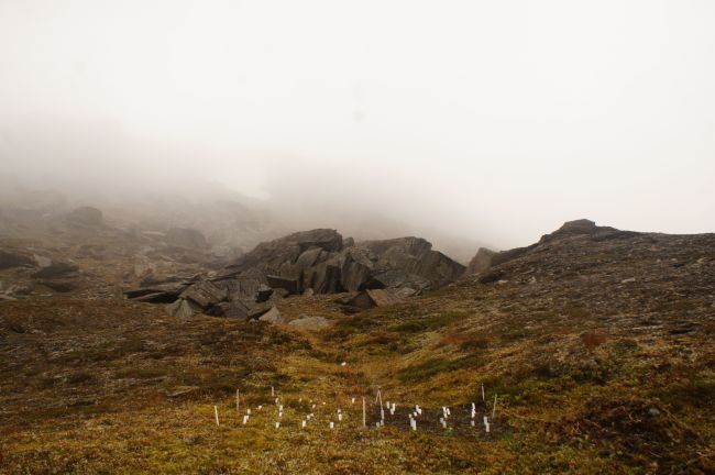 The experiment Image