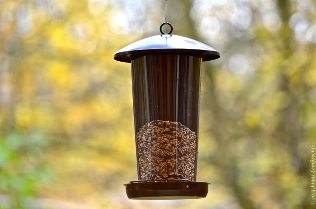 Bird food