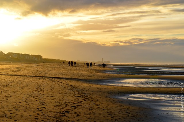 The Belgian coastline - evening sun