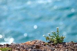 A stressy environment