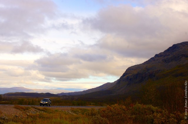 Road in the autumn