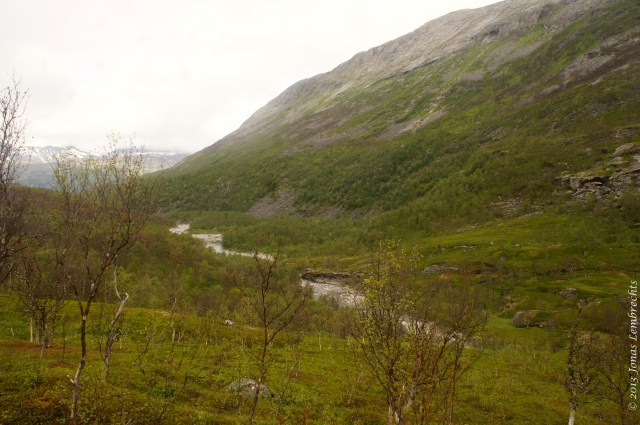 Clear view on the vegetation gradient