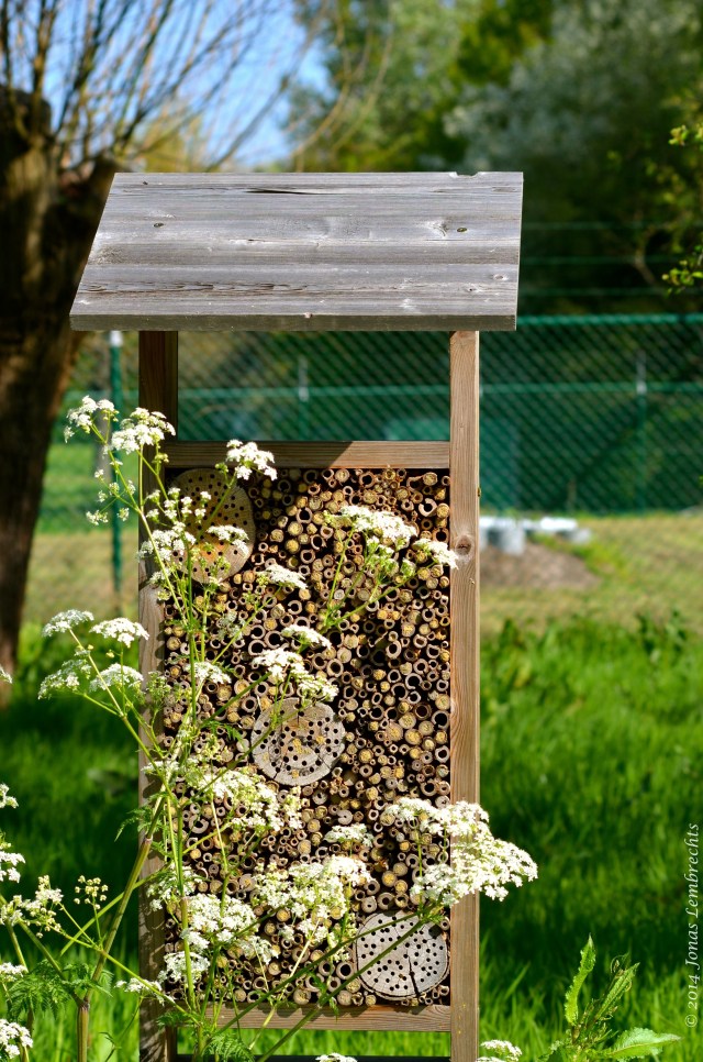 Bee hotel