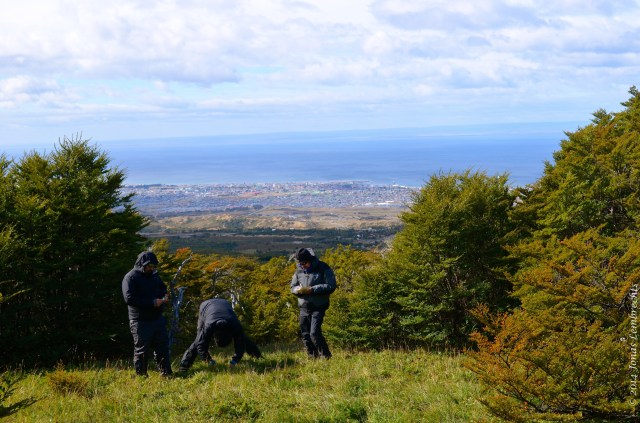 Measuring with view on Punta Arenas