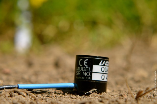 Measuring light with Licor