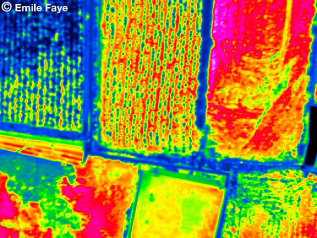 Agricultural Thermal Landscape