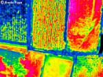 Agricultural Thermal Landscape