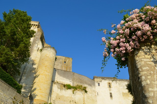 Castle Loches with roses