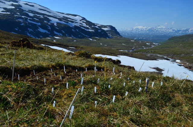 Fieldwork at 1000 meter elevation