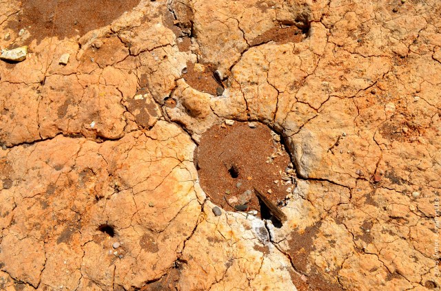 Drought and drought lines