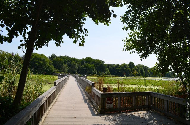 Boardwalk at John Heinz national wildlife refuge