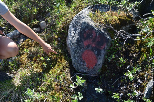 Finding the equipment back