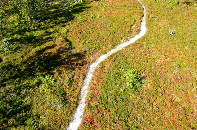 Alpine trail seen from the air