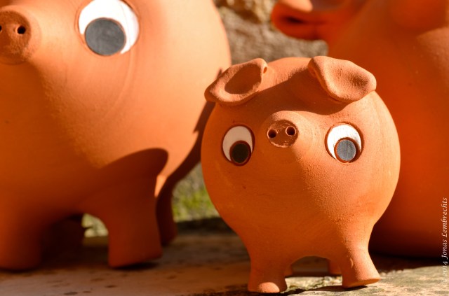 Terracotta pig