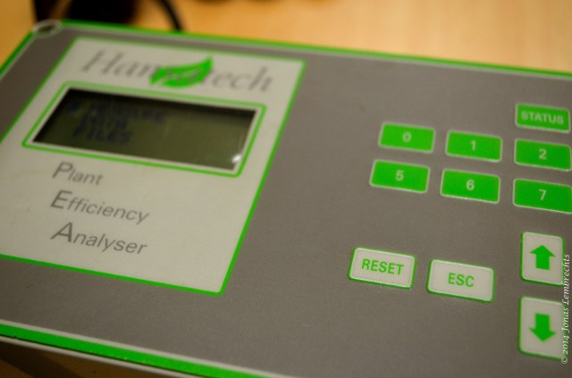 Plant efficiency analyser fluorescence