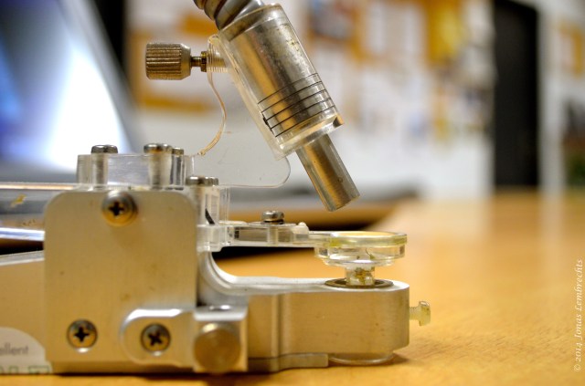 PAM-2000 fluorescence measurement