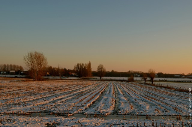 Frozen countryside
