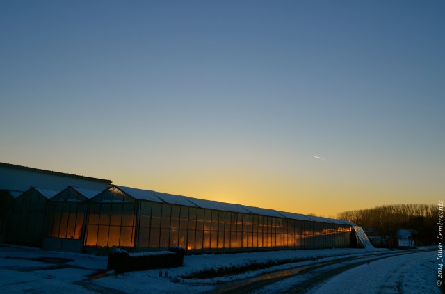 Sunset on a winter day