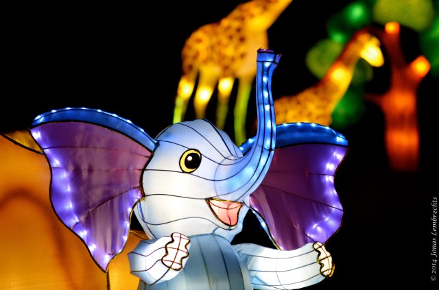 China Light Zoo Antwerp baby elephant