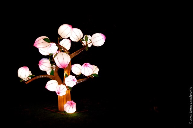 China Light Zoo Antwerp spring tree