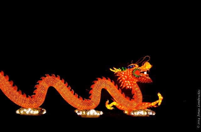 China Light Zoo Antwerp