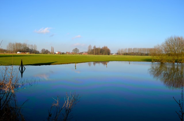 High water in meadow
