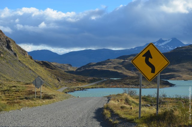Mountain roads serve as vectors for invading plants.