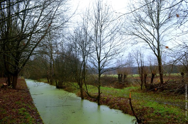 Anti-tank ditch in Haacht