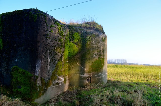 Bunker with mosses
