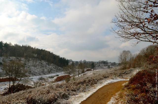 National park Hoge Kempen