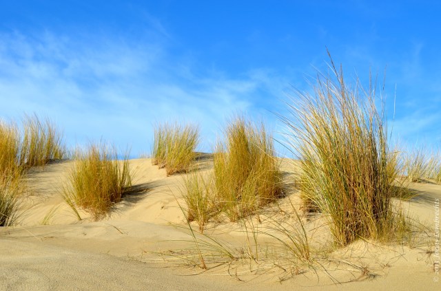 Bray-Dunes, Northern France