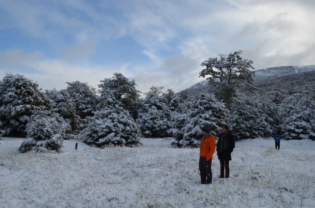 Sceintists overviewing their snowy plots