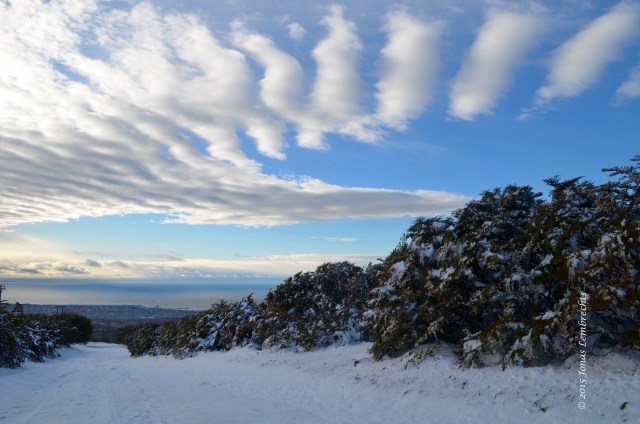 Top of Cerro Mirador, Punta Arenas