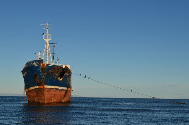 Cormorants on abandoned ship
