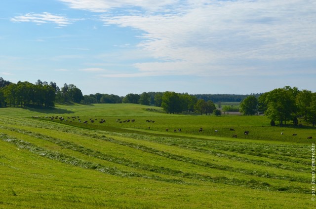 Agriculture is beautiful