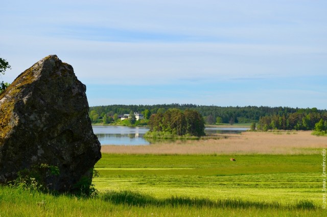 Rough rock in soft field