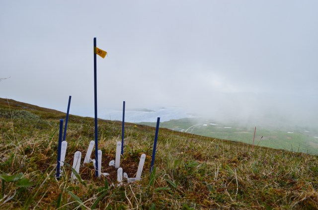 Experiment and incoming clouds