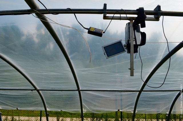 Greenhouse with thermal camera