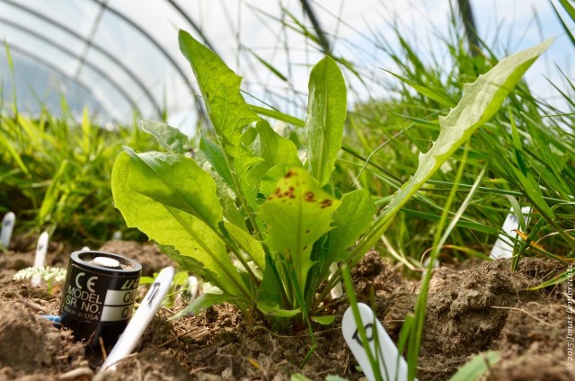 Measuring light on the bottom of the gap