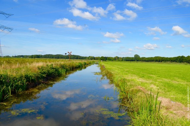 Polder landscape