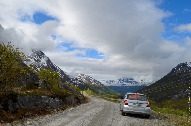 Roadside research at its best