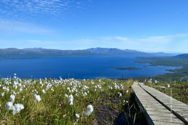 View on Torneträsk lake