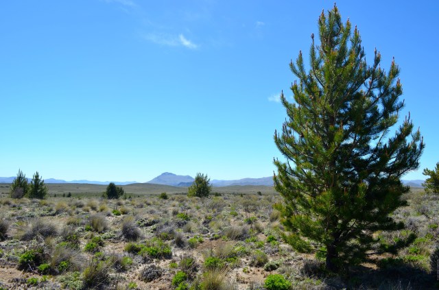 20092518811_a3a7db598f_o