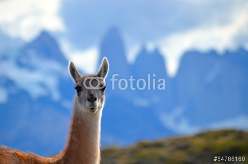 fotolia_64786160