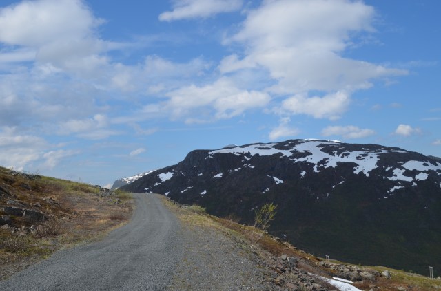 20132838529_c154a224d9_o