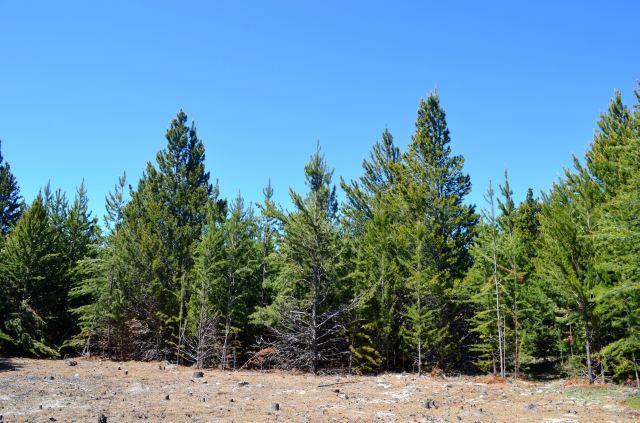 19465643403_49aa6347bc_o