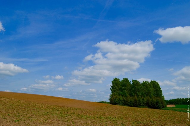 Novel ecosystems - 5