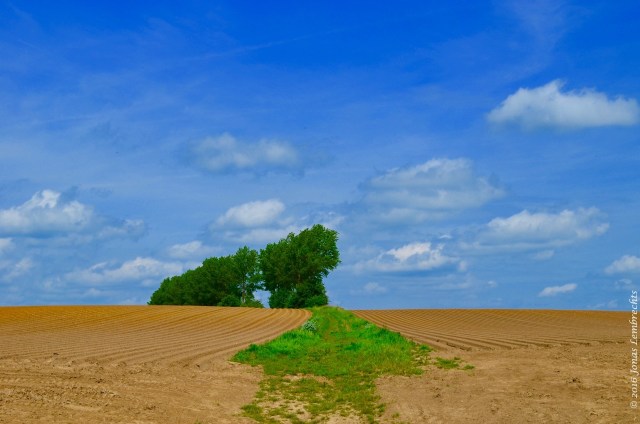 Novel ecosystems - 7