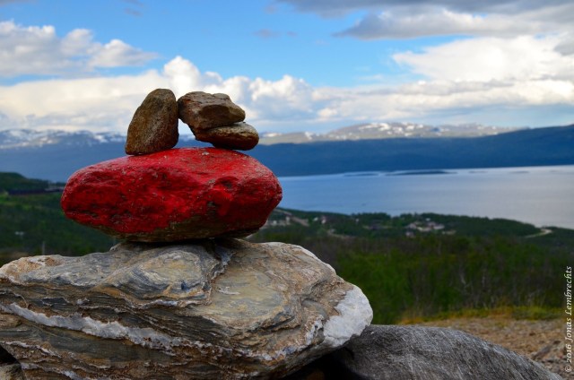 Swedish subarctic - 116