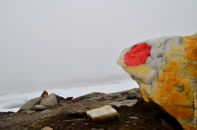 Swedish subarctic - 148